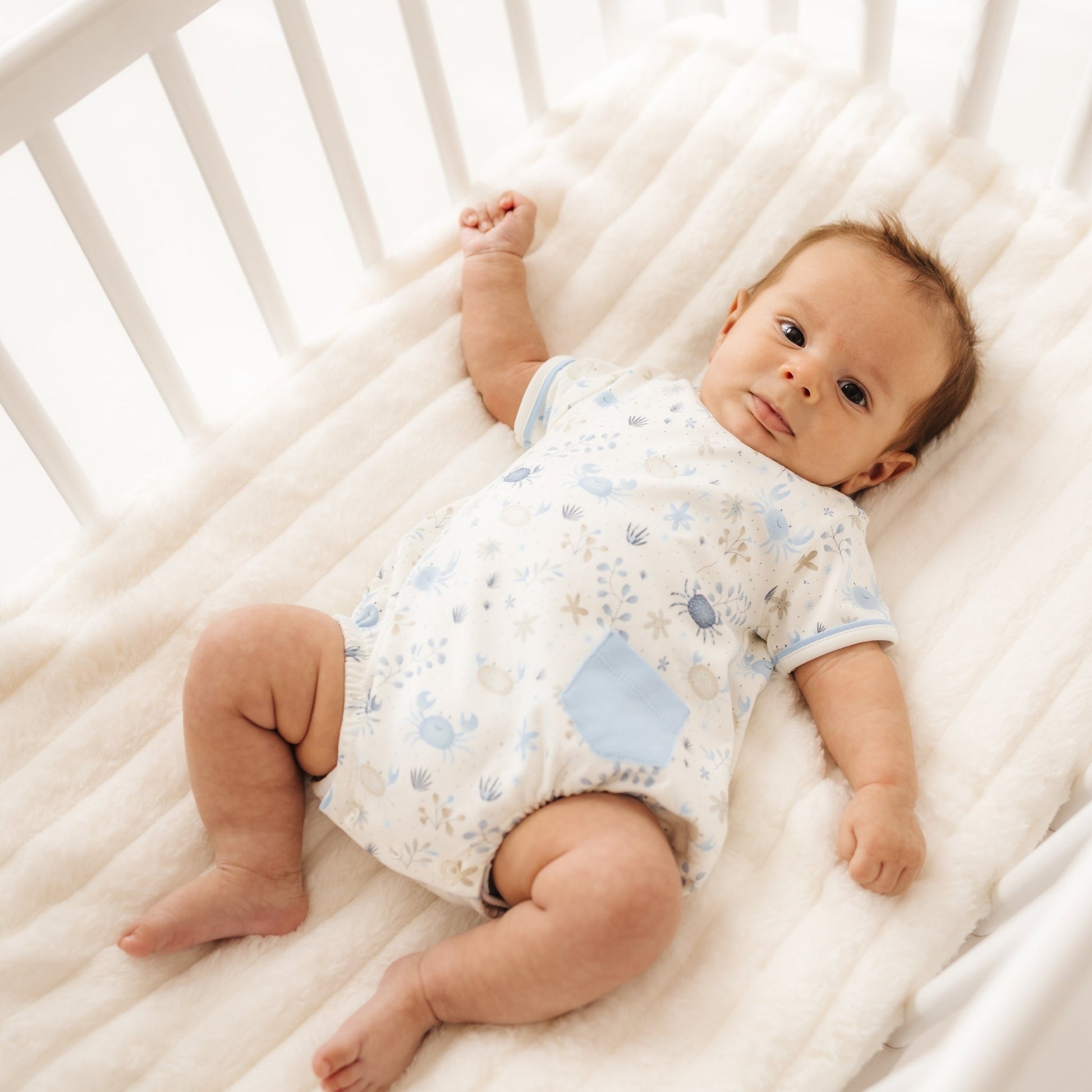 Crabby Cove Bubble - Sky - Magnolia BabyBubble