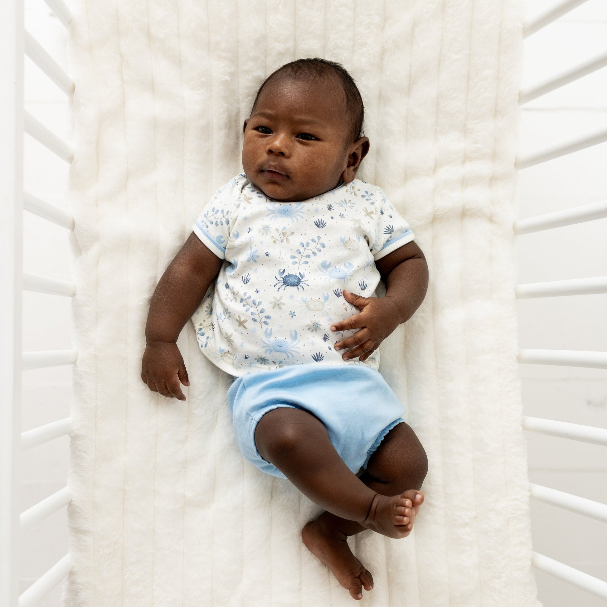 Crabby Cove Diaper Cover Set - Sky - Magnolia BabyDiaper Cover