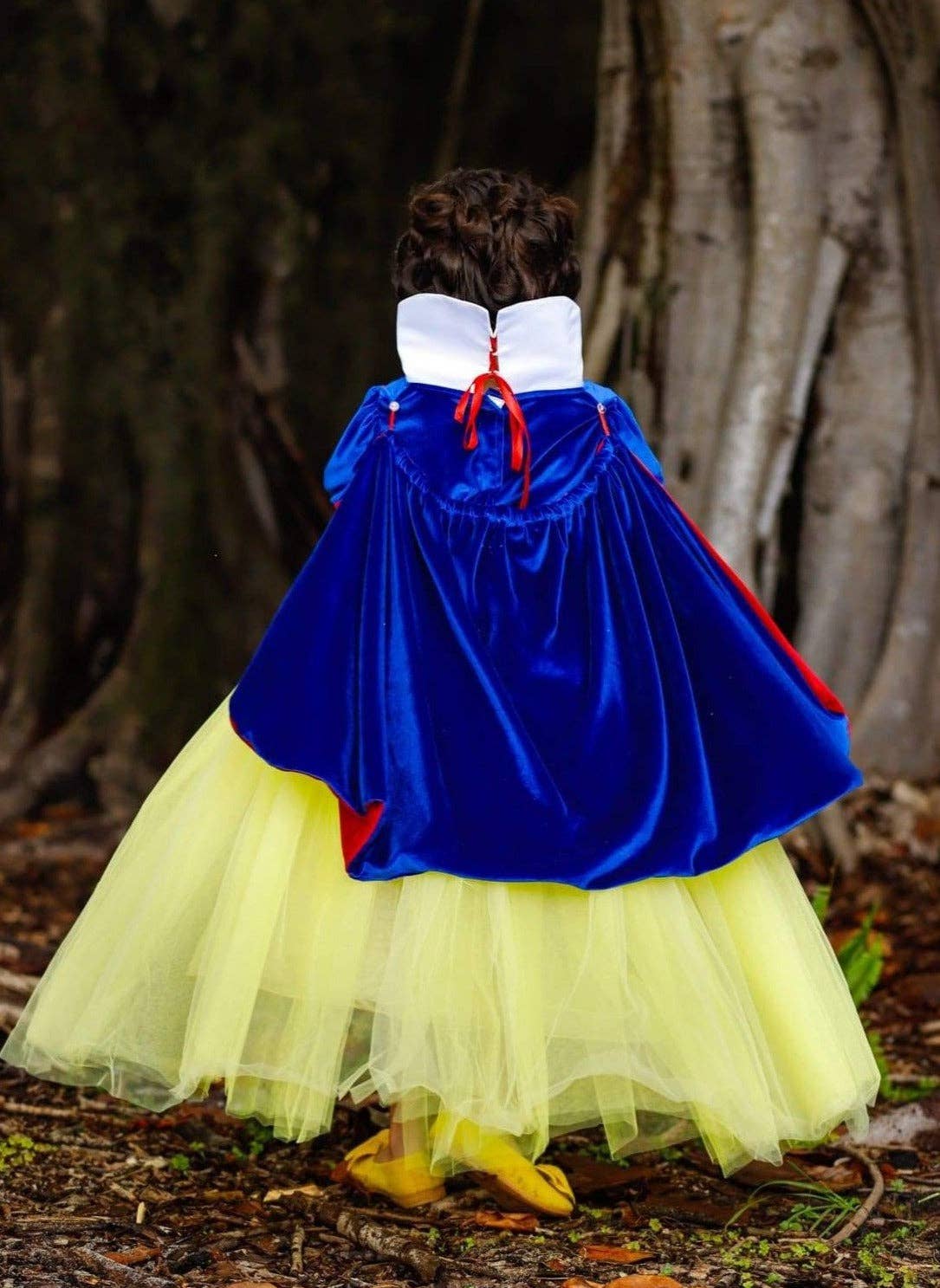 Fairest Princess Deluxe Costume