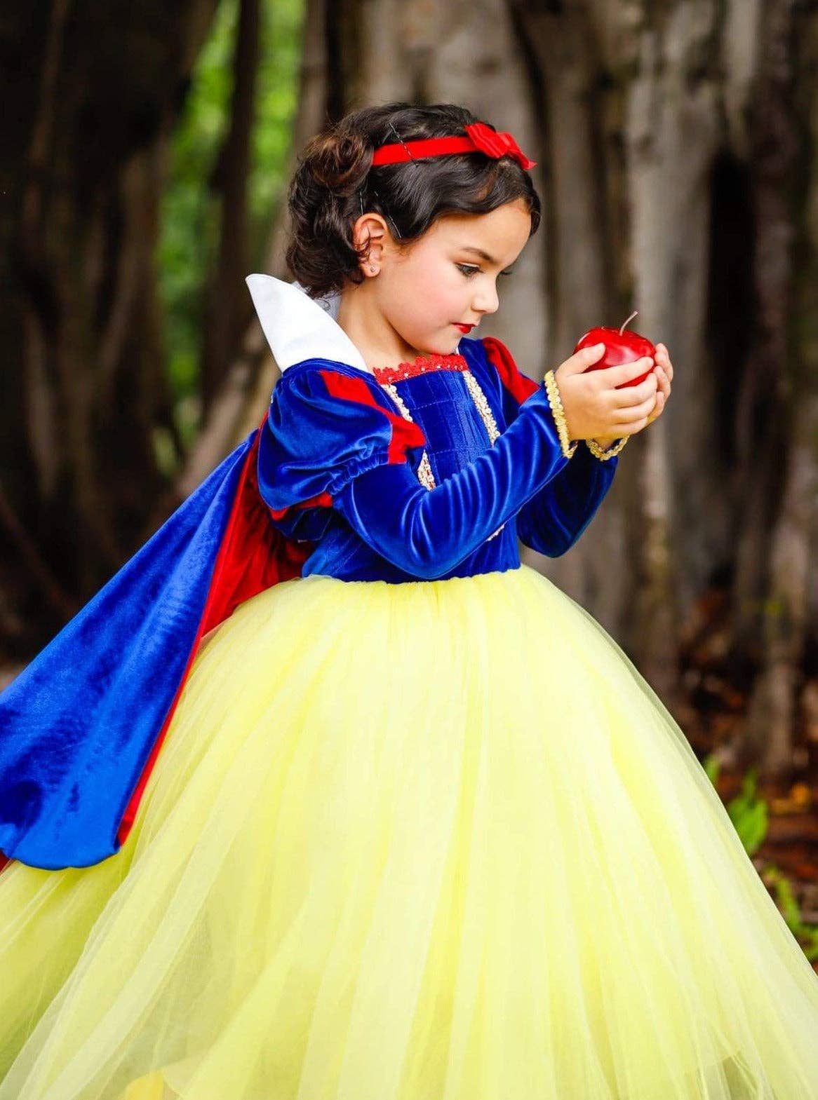 Fairest Princess Deluxe Costume