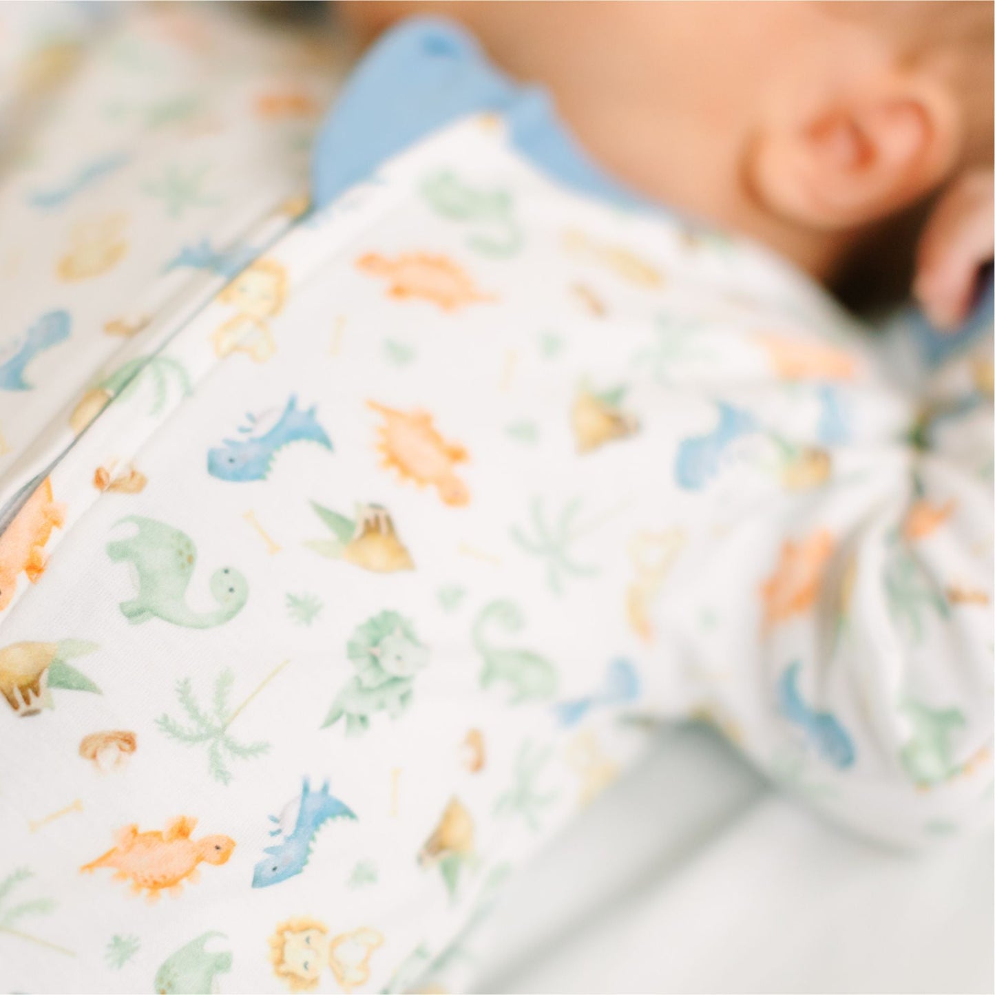 Dino - Land Print Zip Footie - Magnolia BabyFootie