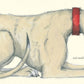 Dogs by Emily Gravett - Magnolia BabyBook