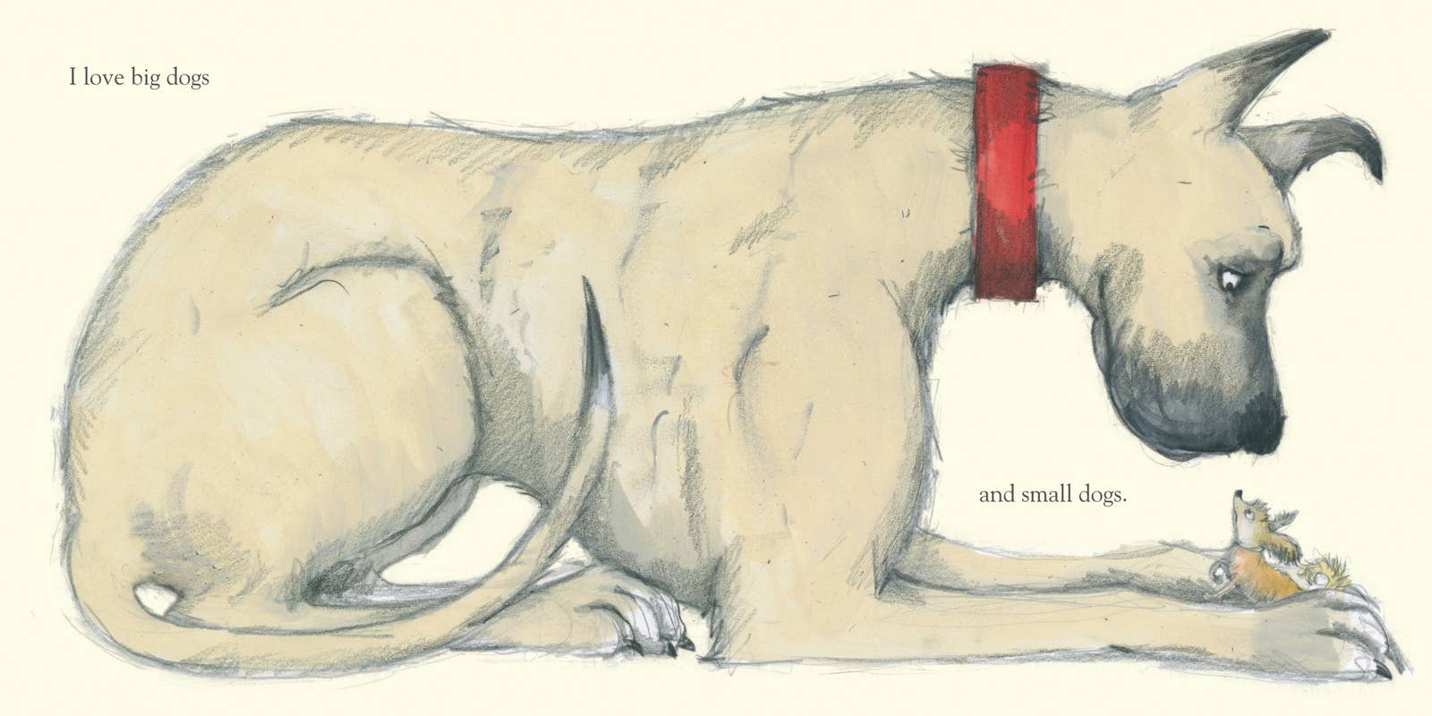 Dogs by Emily Gravett - Magnolia BabyBook