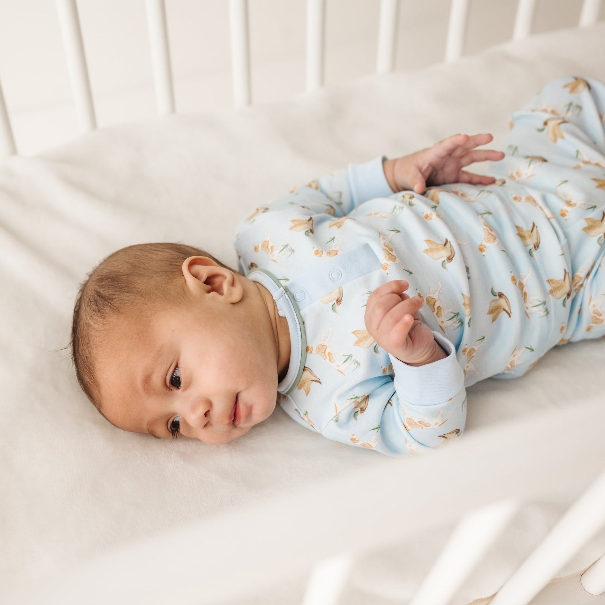 Luna and Arlo_Duck and Hound 2pc Pant Set_4