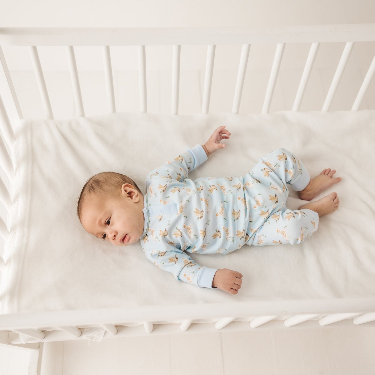 Luna and Arlo_Duck and Hound 2pc Pant Set_3