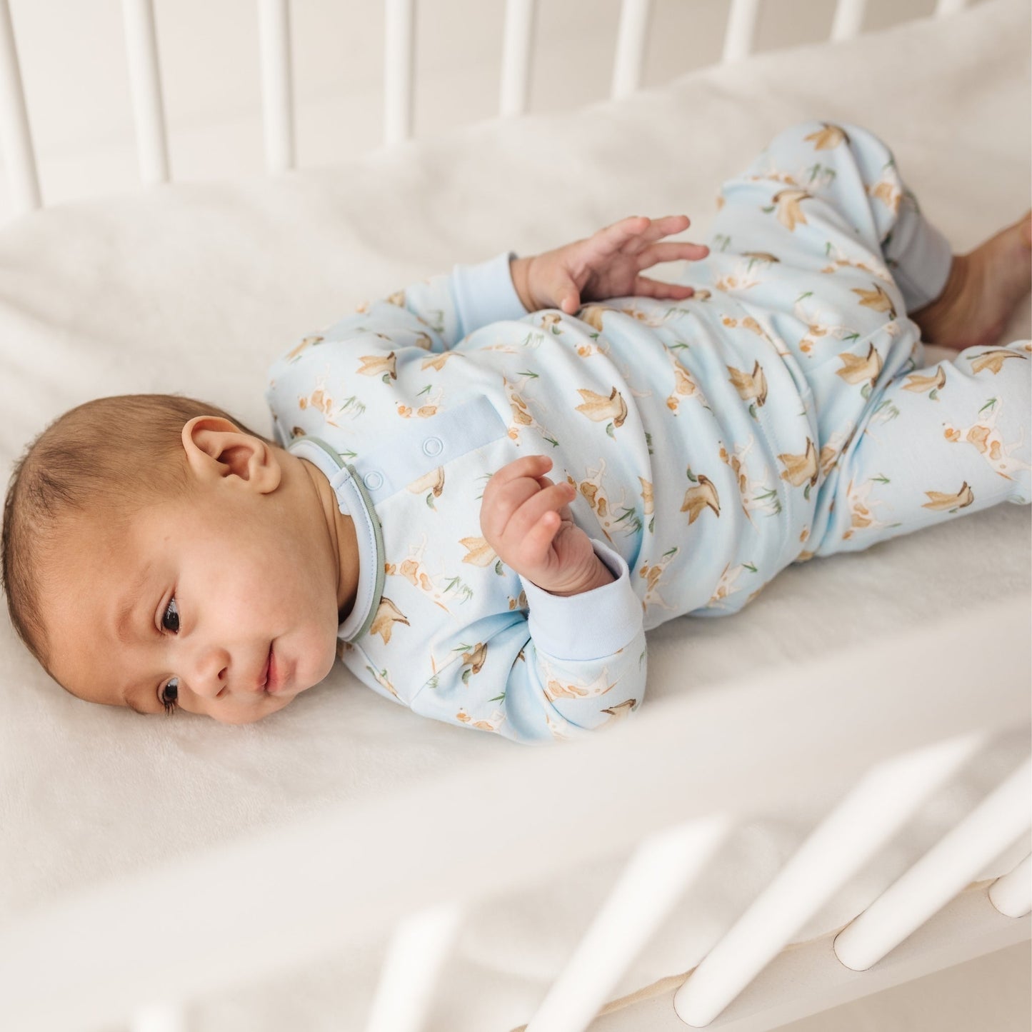Luna and Arlo_Duck and Hound 2pc Pant Set_2