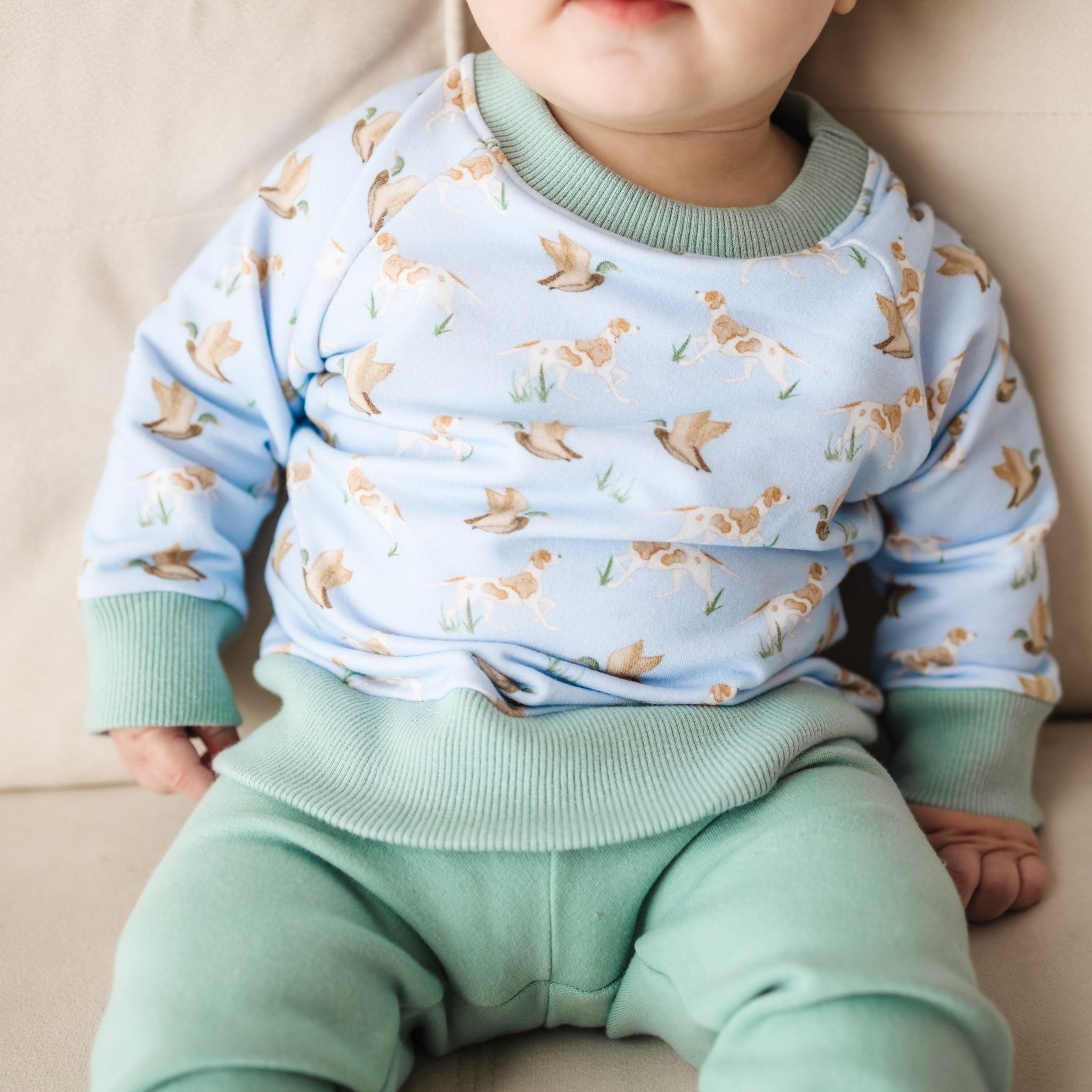 Luna and Arlo_Duck and Hound Pullover Sweatshirt_2