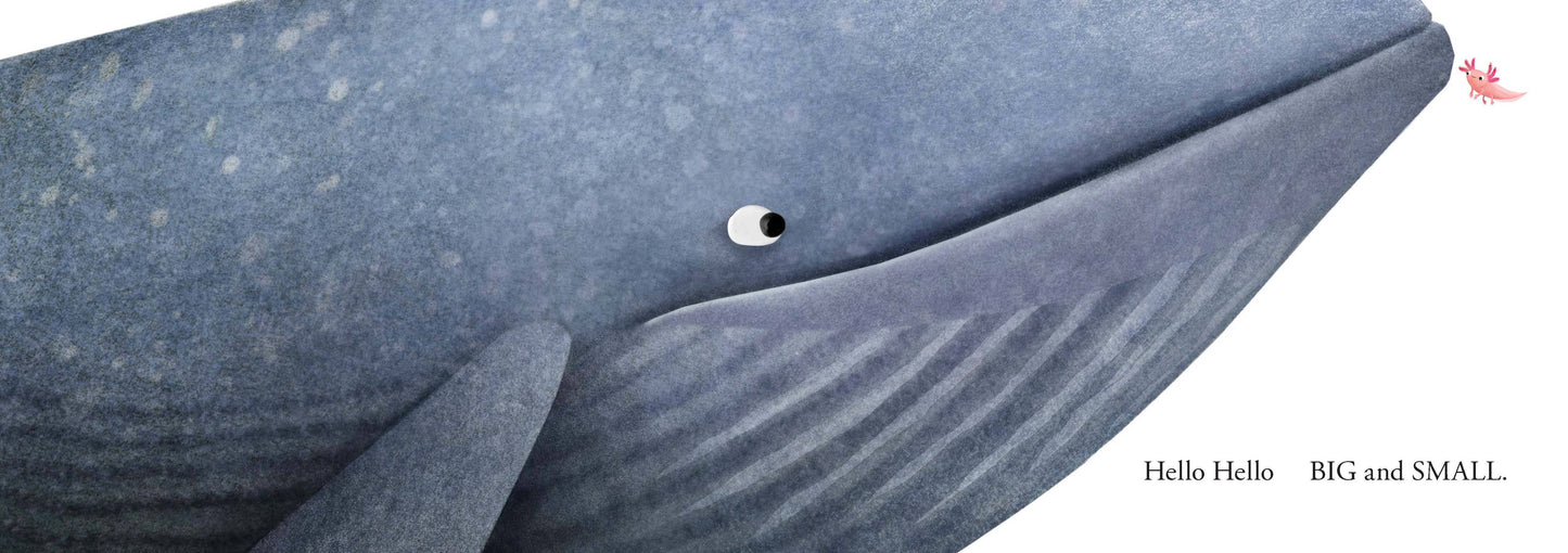 Hello Hello Opposites