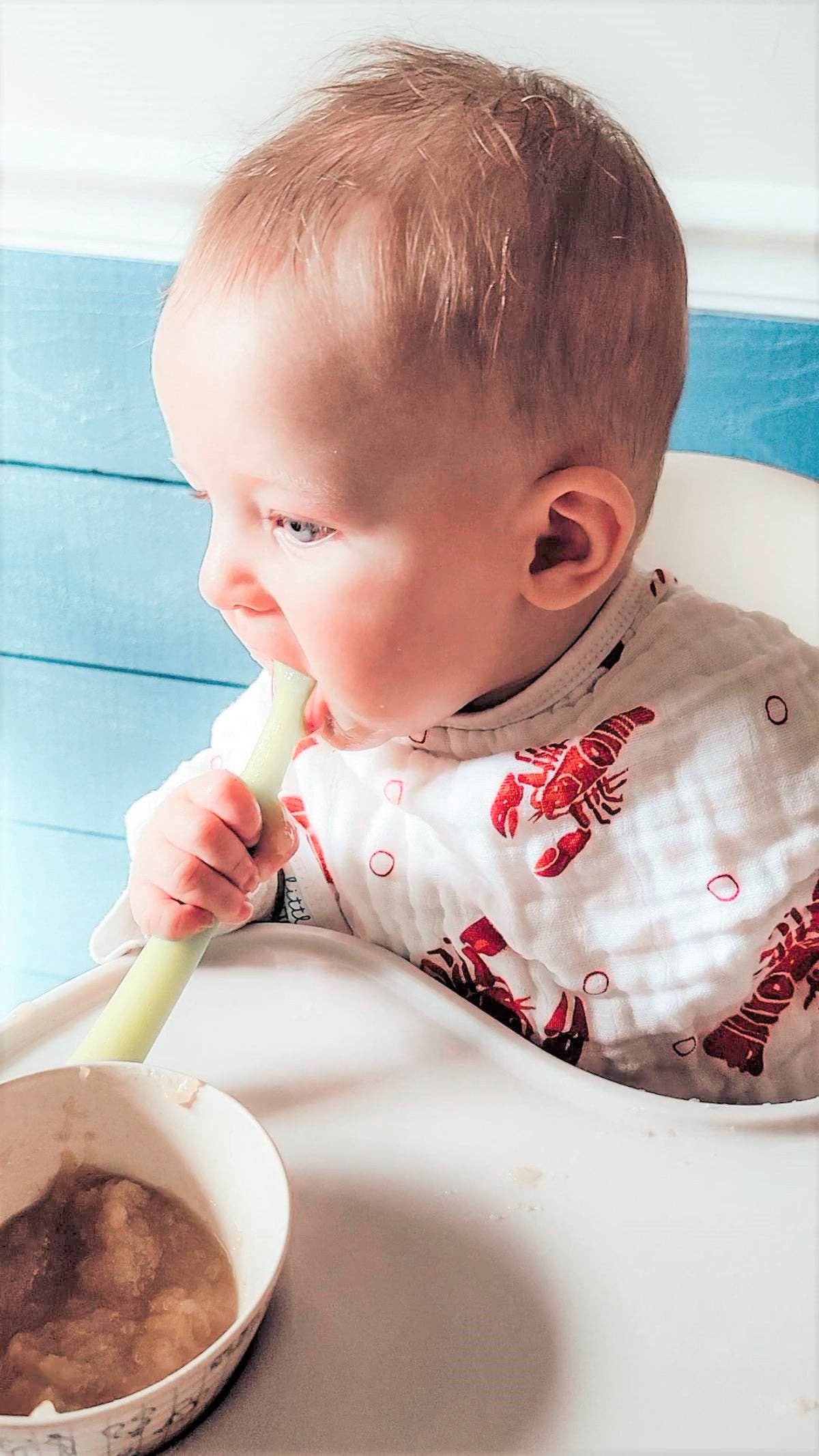 Baby Burp Cloth and Bib (2 in 1) - Heads & Tails