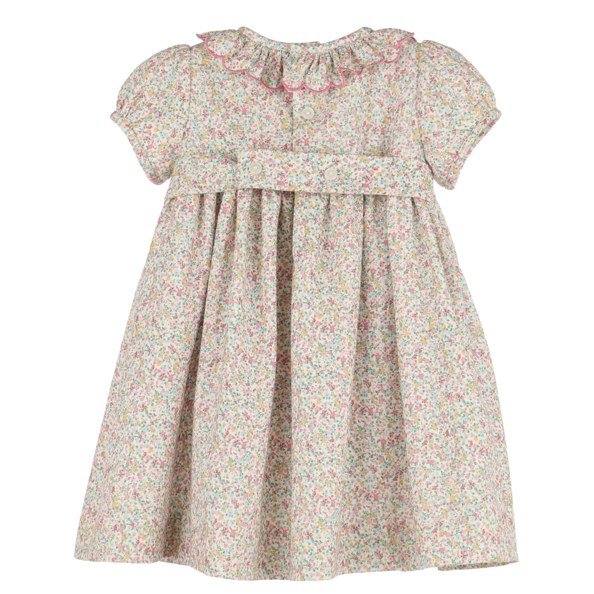 Enchanting Harvest Smocked Dress - Magnolia BabyDress