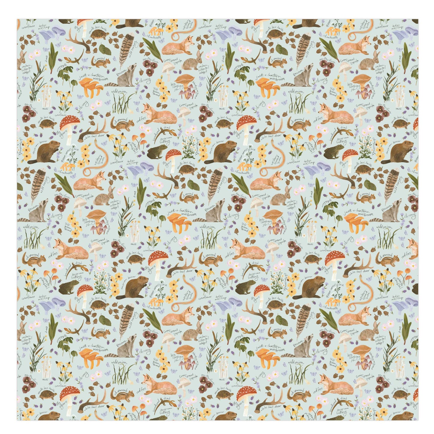 1canoe2 | One Canoe Two Paper Co._Flora & Fauna Baby Swaddle_8