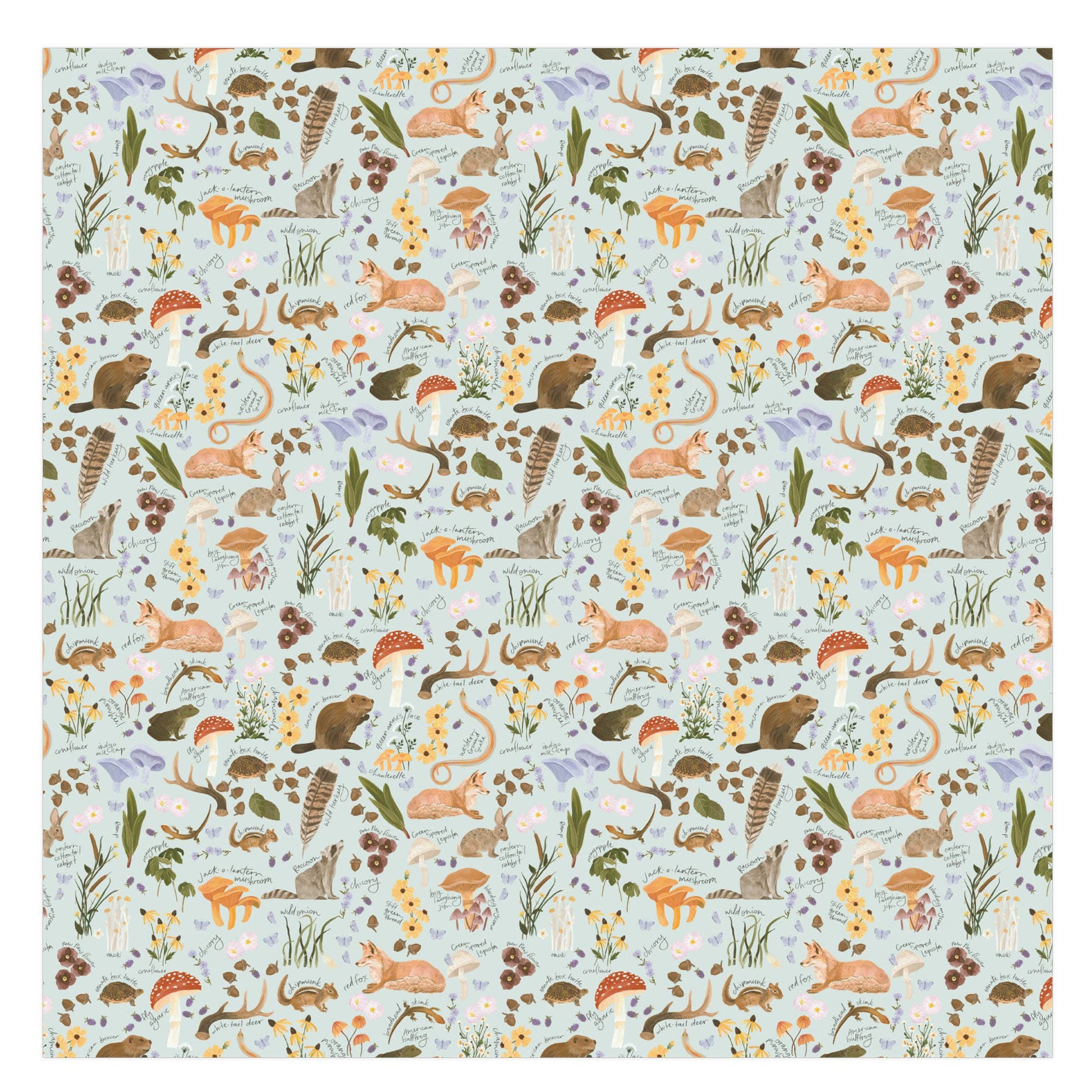 1canoe2 | One Canoe Two Paper Co._Flora & Fauna Baby Swaddle_8