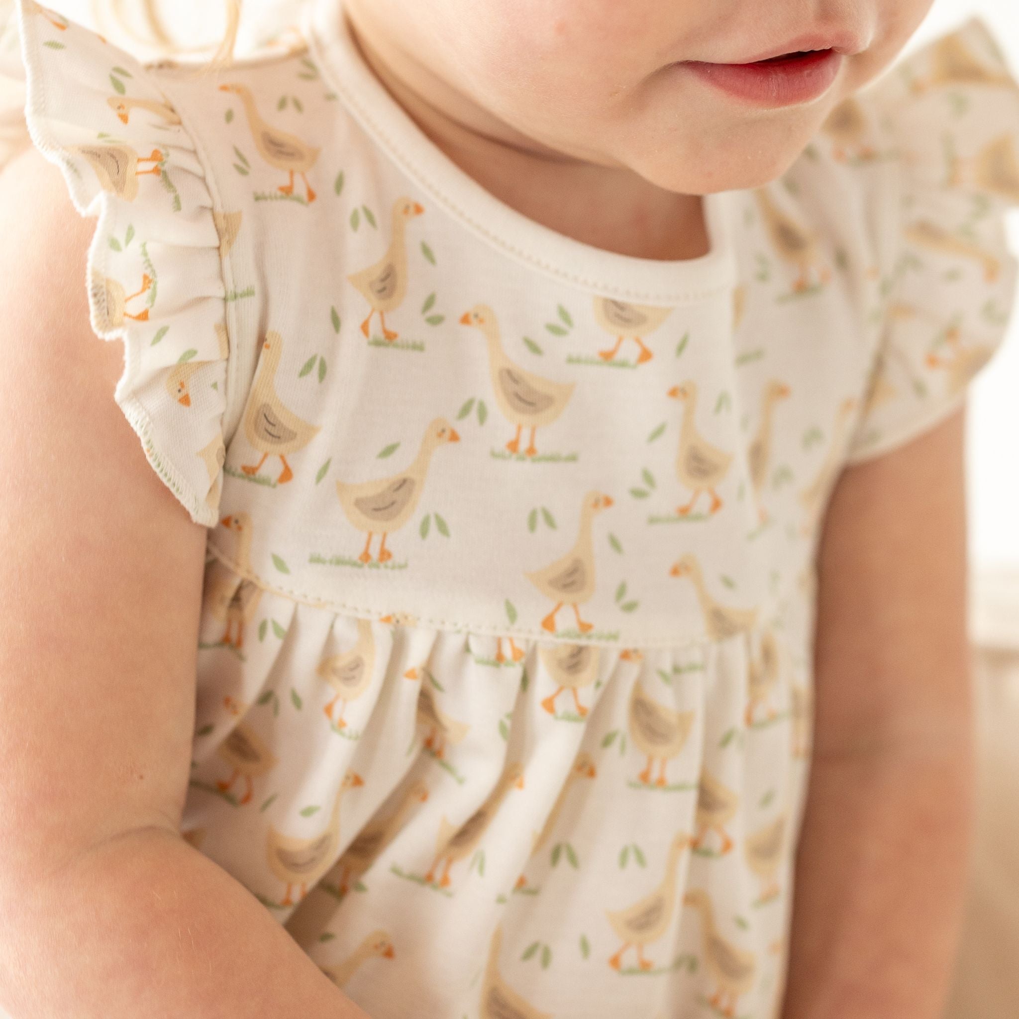 Goose Tales Dress - Luna and ArloDress