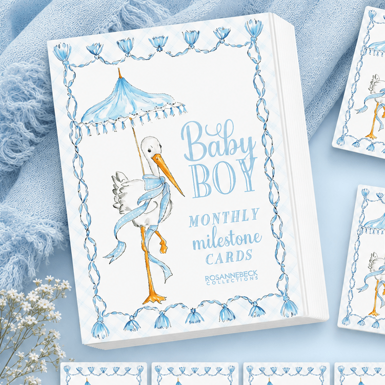 Hand Painted Baby Boy Stork Milestone Cards - Magnolia BabyMilestone Cards