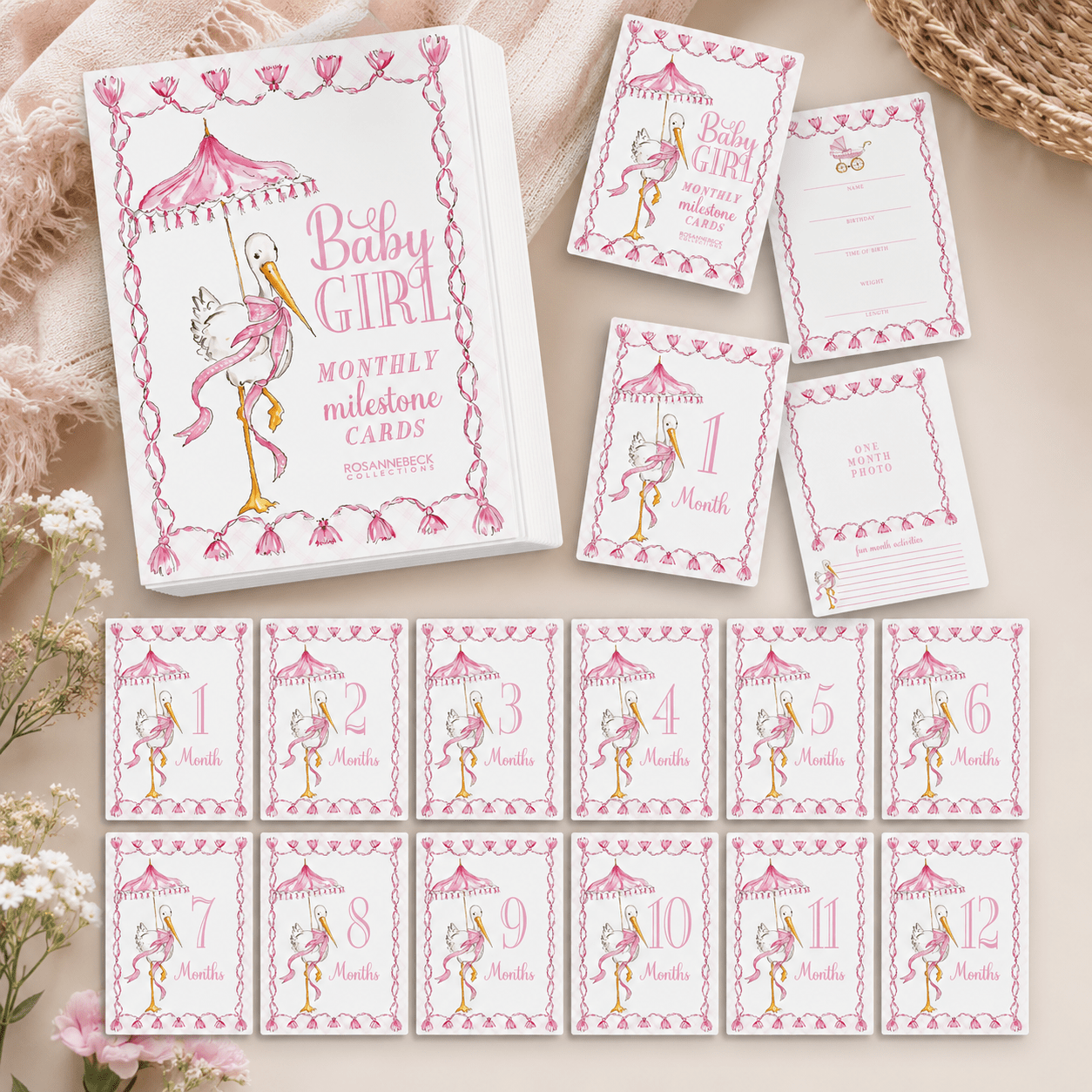 Hand Painted Baby Girl Stork Milestone Cards - Magnolia BabyMilestone Cards