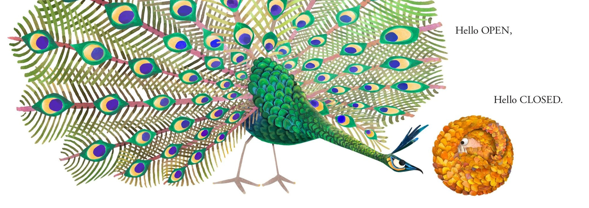 Hello Hello Opposites - Magnolia BabyBook