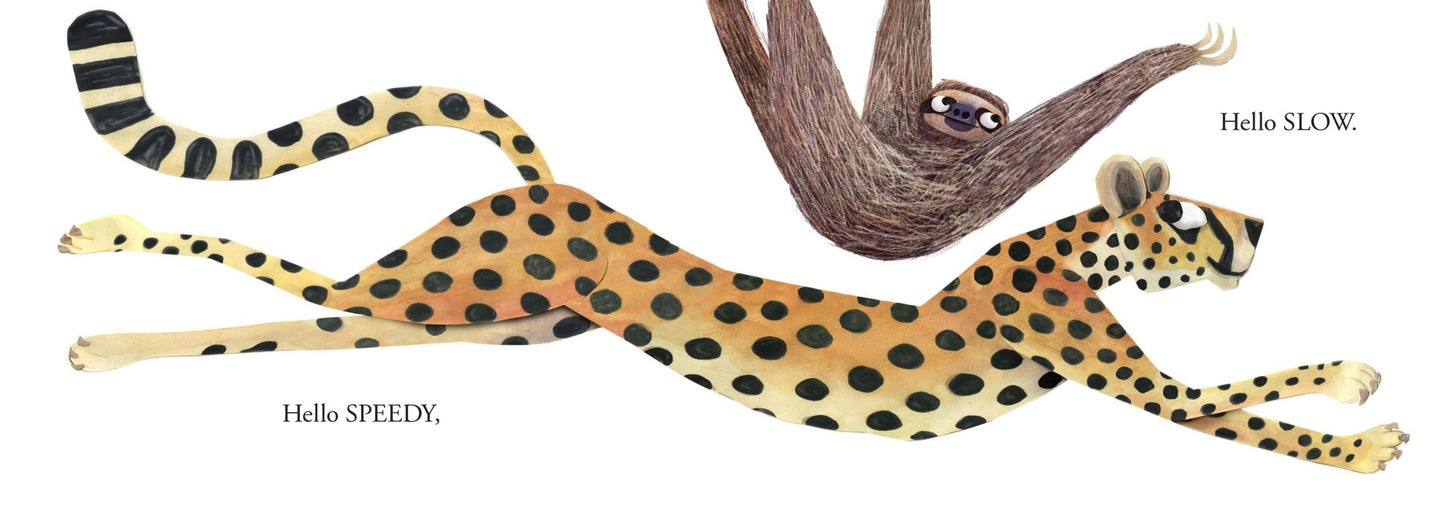 Hello Hello Opposites - Magnolia BabyBook