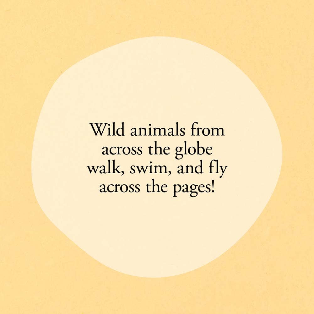 Hello Hello Opposites - Magnolia BabyBook