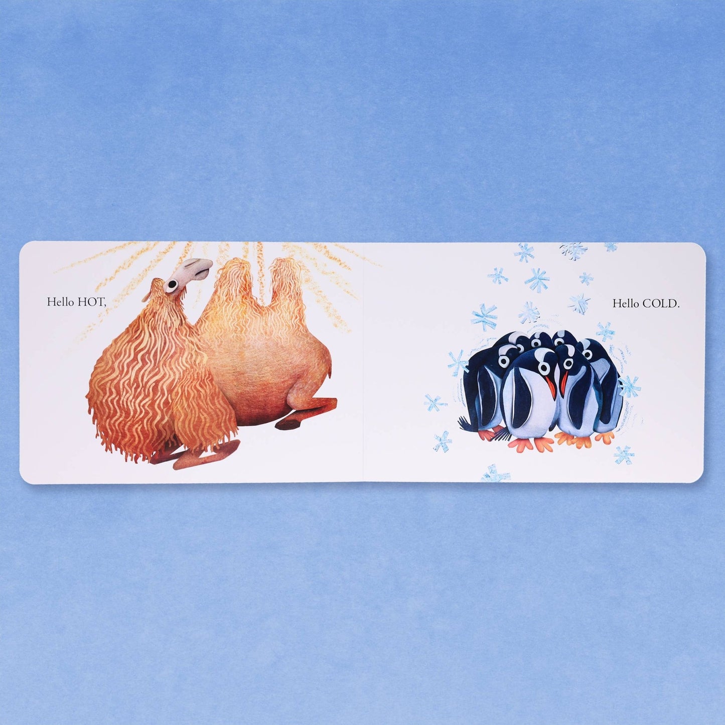 Hello Hello Opposites - Magnolia BabyBook