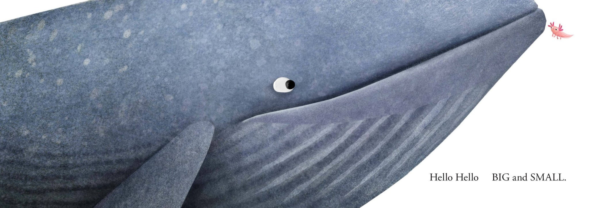 Hello Hello Opposites - Magnolia BabyBook