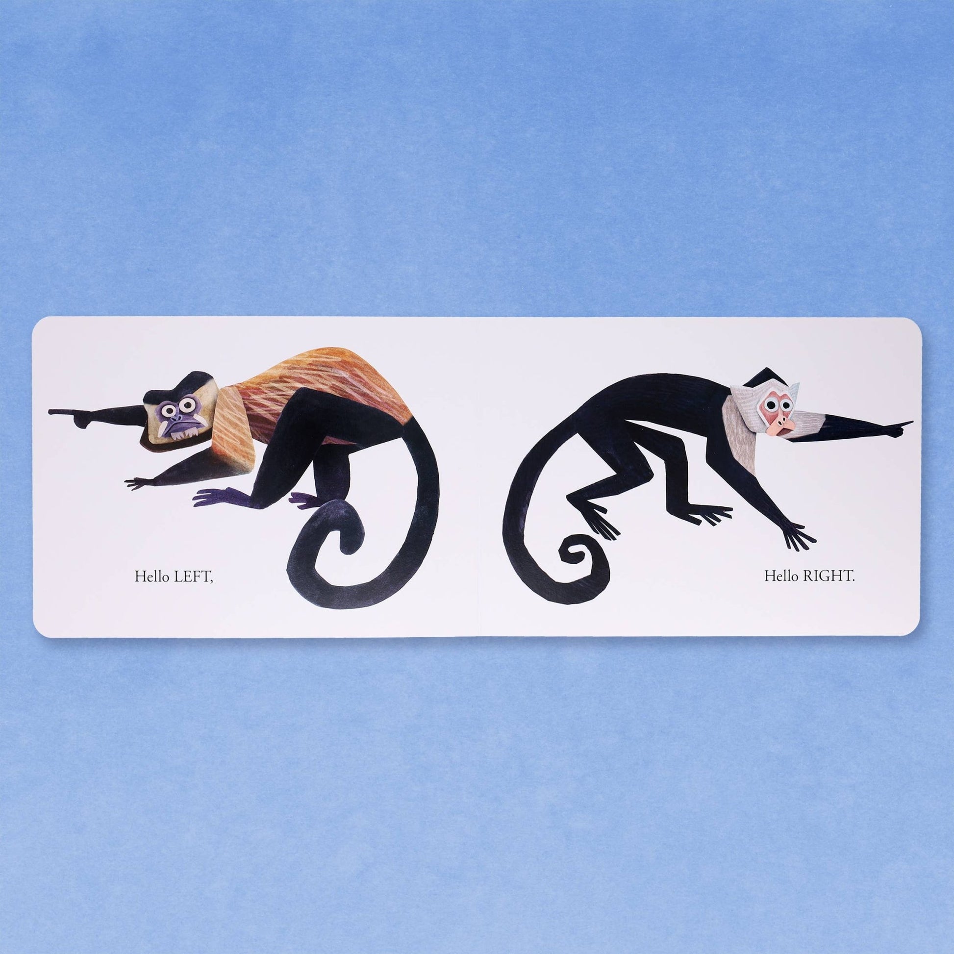 Hello Hello Opposites - Magnolia BabyBook