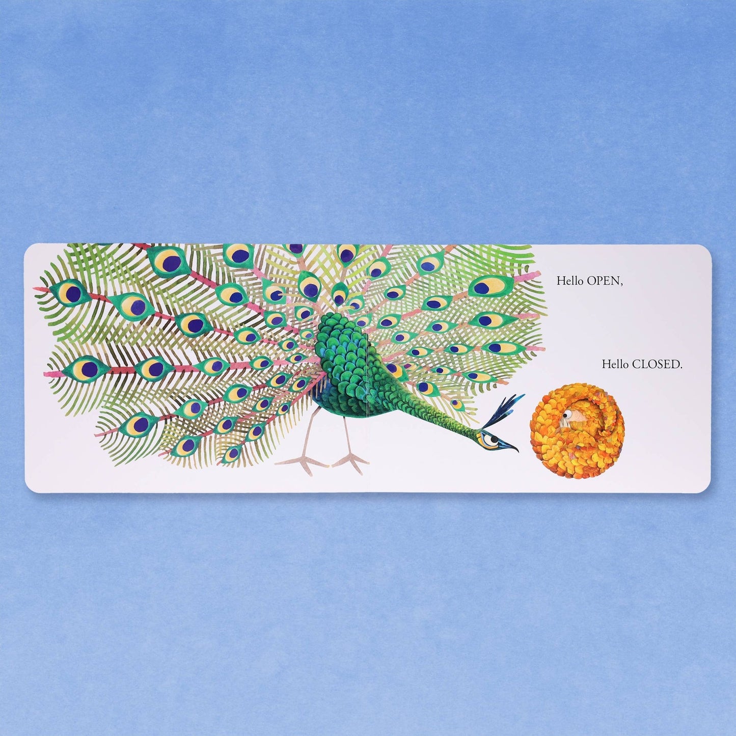 Hello Hello Opposites - Magnolia BabyBook