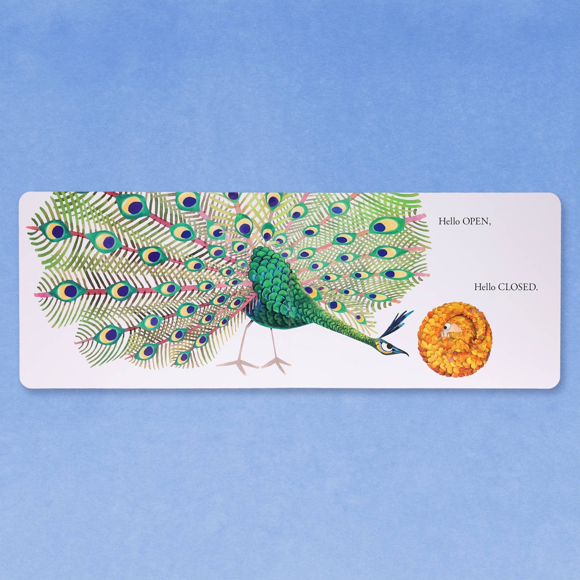 Hello Hello Opposites - Magnolia BabyBook