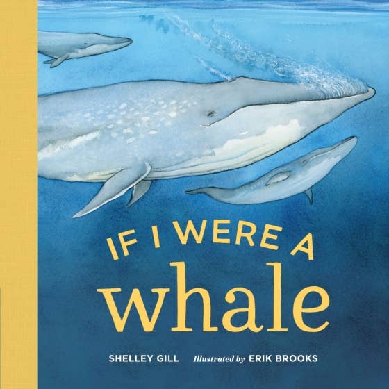 If I Were A Whale - Magnolia BabyBook