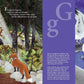 L is for Lobster: A Maine Alphabet Picture Book - Magnolia BabyBook