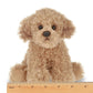 Lil' Doodles the Labradoodle - Magnolia BabySoft Toy