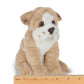 Lil' Tug the Bulldog - Magnolia BabySoft Toy