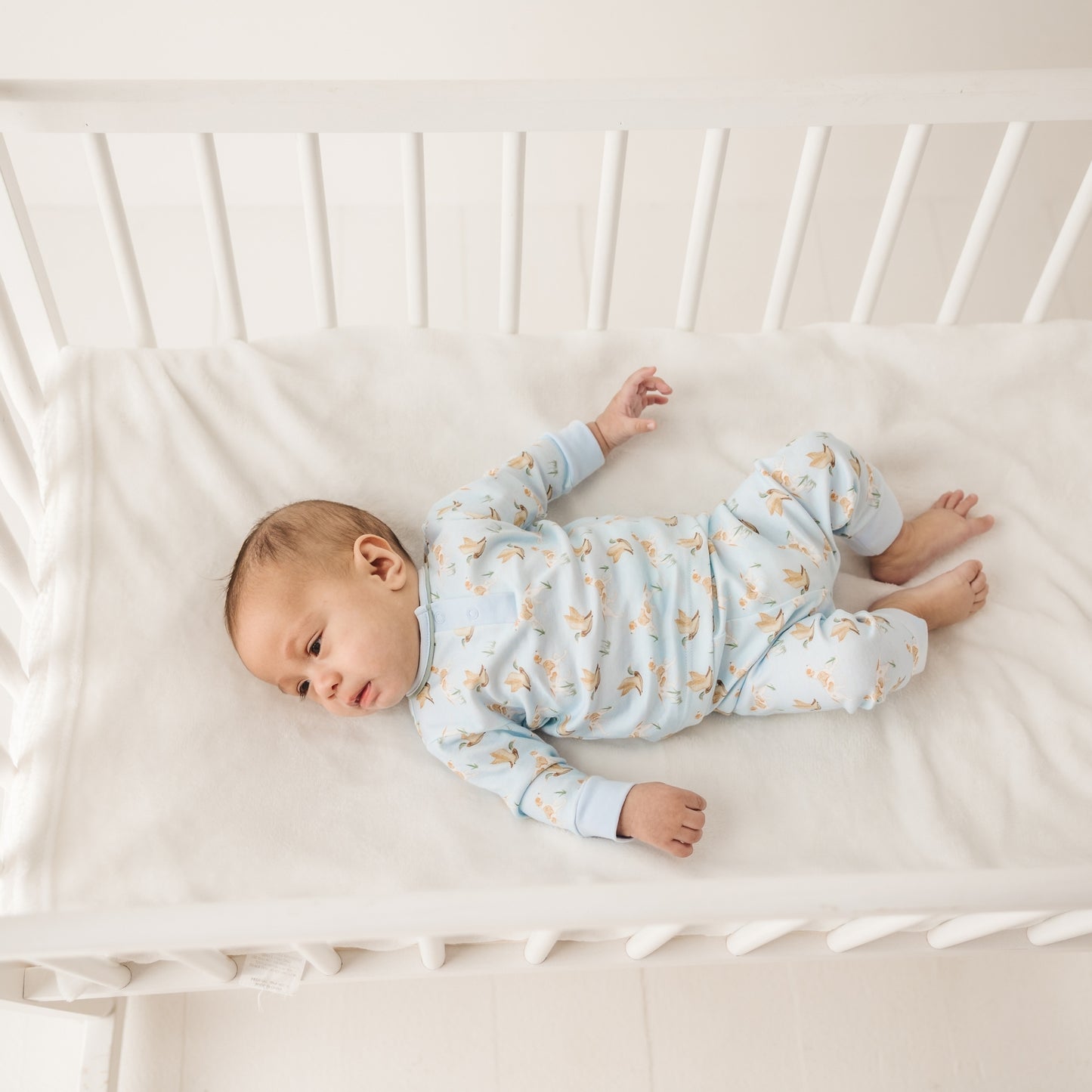 Duck and Hound 2pc Pant Set