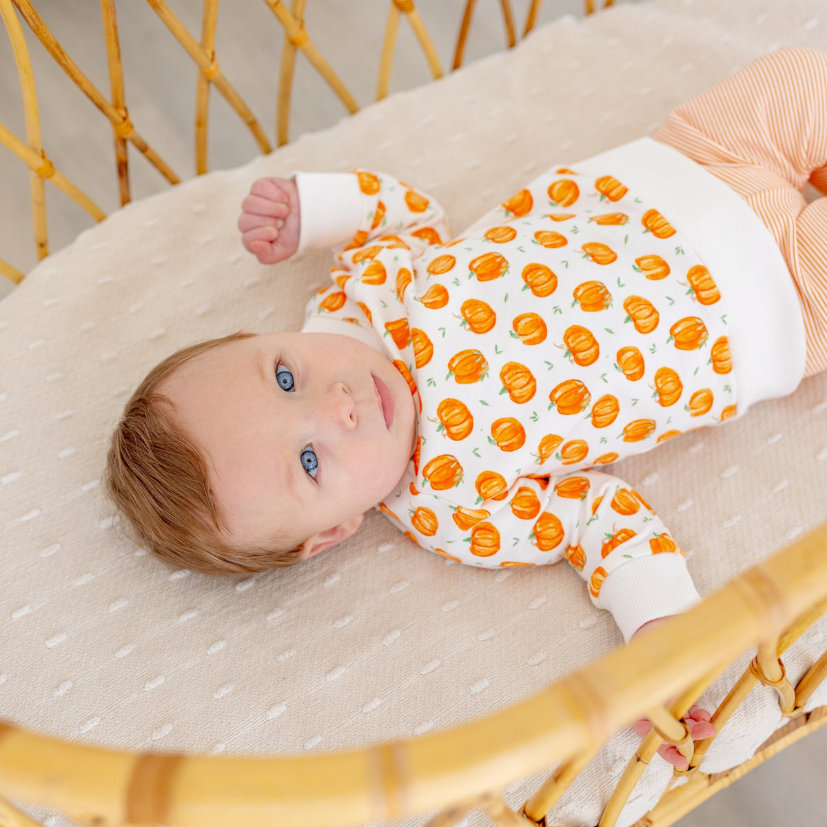 Pumpkin Grove Pullover Sweatshirt