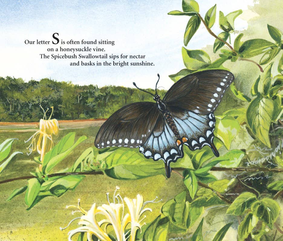 M is for Magnolia: A Mississippi Alphabet Book - Magnolia BabyBook