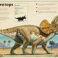 Magnificent Book of Dinosaurs - Magnolia BabyBook