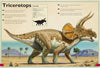 Magnificent Book of Dinosaurs - Magnolia BabyBook