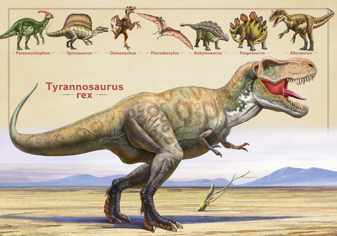 Magnificent Book of Dinosaurs - Magnolia BabyBook