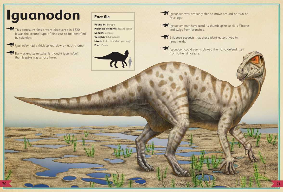 Magnificent Book of Dinosaurs - Magnolia BabyBook