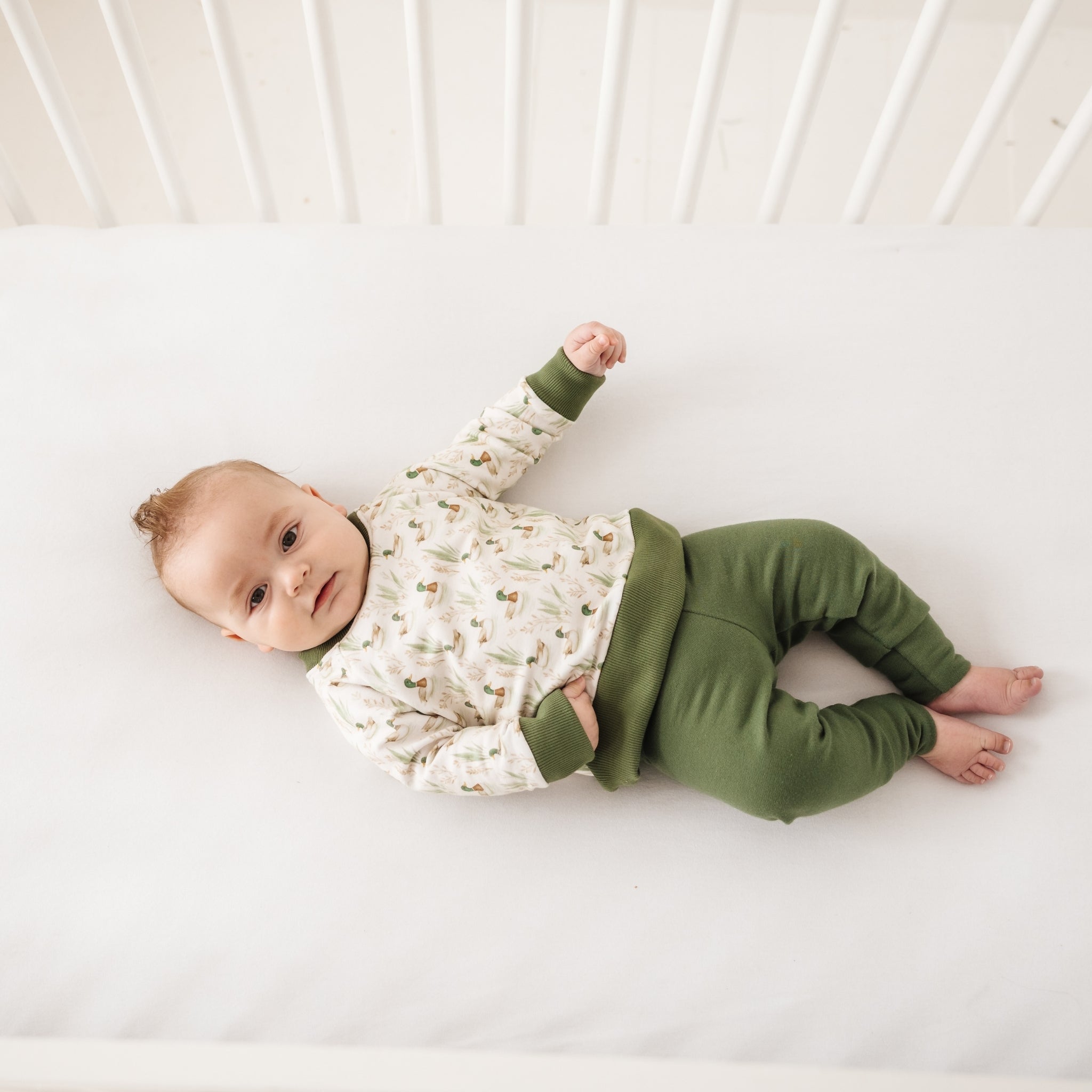 Luna and Arlo_Mallard's Pond Pullover Sweatshirt_1