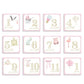 Milestone Cards - Classic Girl - Magnolia BabyStationery