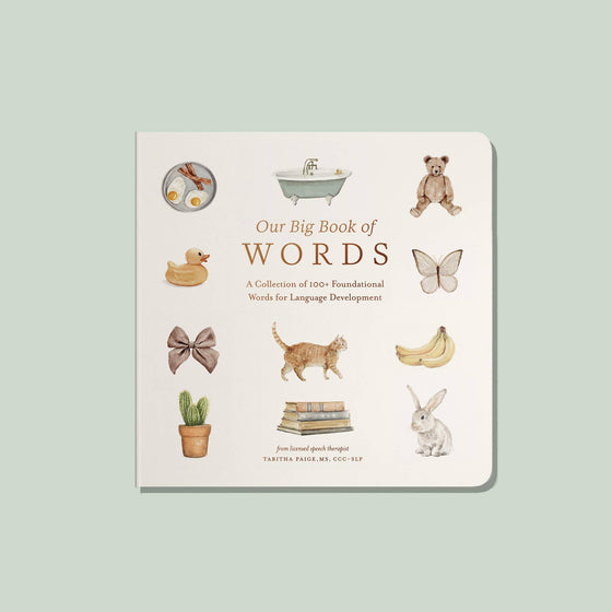 Our Big Book of First Words - Magnolia BabyBook