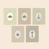 Our Little Library Vol. 3 (5 Board Books) - Magnolia BabyBook