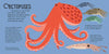Panoramic Pop - Ups: Ocean by David Hawcock: Hardcover; 20 pages / English - Magnolia Baby
