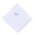 Precious Pumpkins Embroidered Receiving Blanket - Light Blue - Magnolia BabyReceiving Blanket