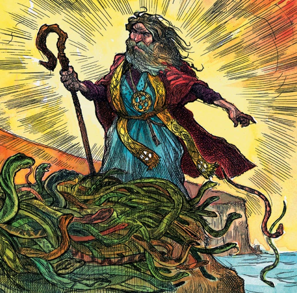 S is for Shamrock: An Ireland Alphabet Picture Book - Magnolia BabyBook