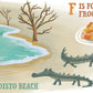 Familius, LLC_S is for South Carolina_4