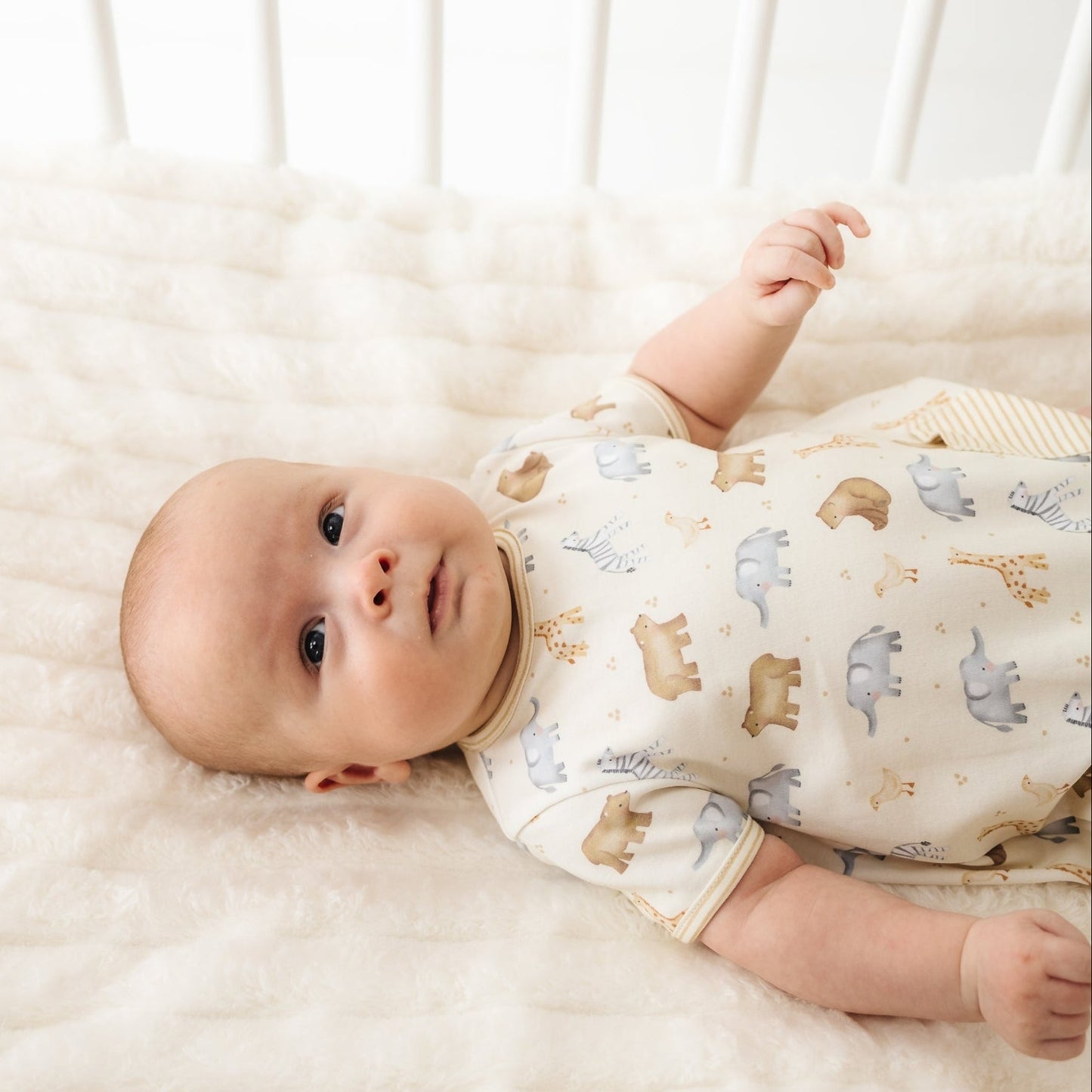 Safari Short Sleeve Bubble - Magnolia BabyBubble