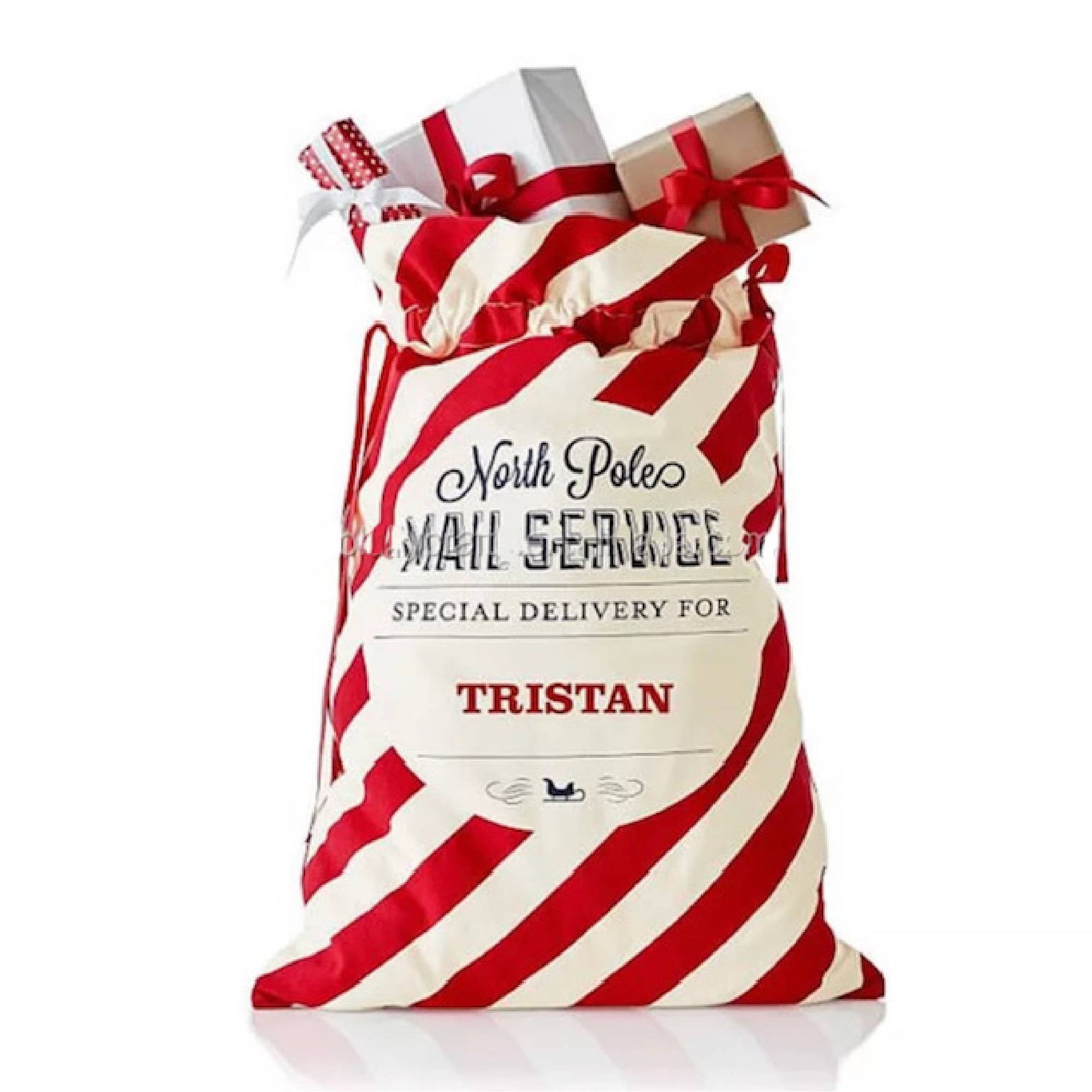 Santa Christmas Gift Bag - Personalization Available - Magnolia BabyGift Bag