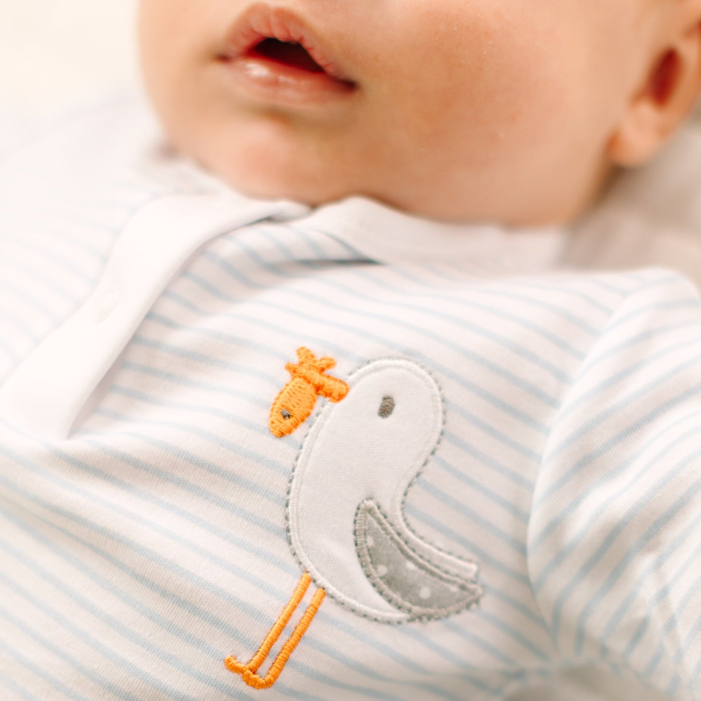 Seabird Shores Applique 2pc Pant Set - Magnolia Baby2pc Pant Set