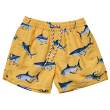  Sunrise Shark Board Shorts - Magnolia BabySwim Trunks